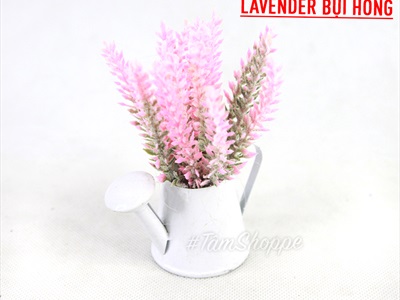 Chậu hoa mini để bàn bình tưới Lavender nhiều kiểu CHAUHOACS-02