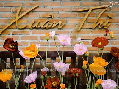 Bộ bảng hiệu gỗ, chữ gỗ, tranh gỗ decor quán cafe Xuân Thì [Nhận thi công] CC-QUANCAFE-01