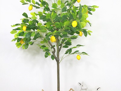 Sọt lục bình tròn đan thưa có vải lót 2 size SOT-LB-01