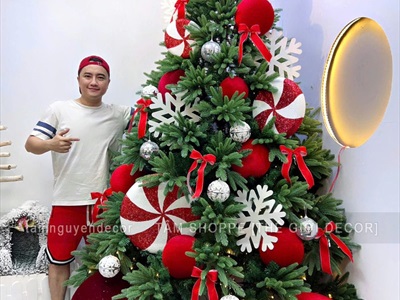 Bông tuyết trắng bằng gỗ trang trí [ĐK10/20/30cm - Có lỗ xỏ dây] BONGTUYET-02