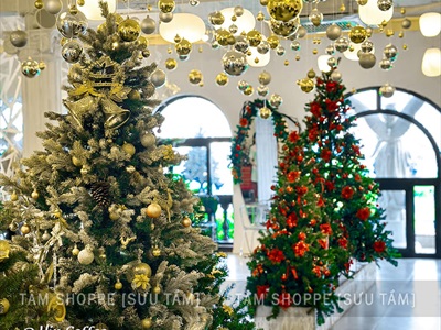 Cây thông Noel lá PE phủ tuyết 3 loại lá [Cao 1m5-3m] X-TREE-LP-PE1