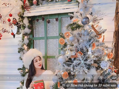 Cây thông Noel lá PE phủ tuyết 3 loại lá [Cao 1m5-3m] X-TREE-LP-PE1