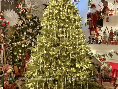 Cây thông Noel lá PE xanh 3 loại lá tán rộng [Cao 1m5-3m] X-TREE-LP-OT