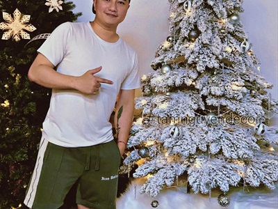 Cây thông Noel lá rũ Bắc Âu phủ tuyết [Nhiều cỡ từ 1.5-2.4m] X-TREE-LP-T5-HS