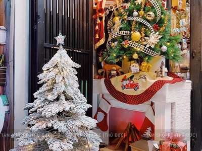 Cây thông Noel lá rũ Bắc Âu phủ tuyết [Nhiều cỡ từ 1.5-2.4m] X-TREE-LP-T5-HS