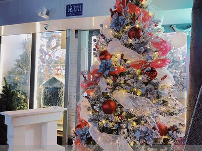 Cây thông Noel phủ tuyết A4 [Cao 1m5-4m5] X-TREE-LP-A4
