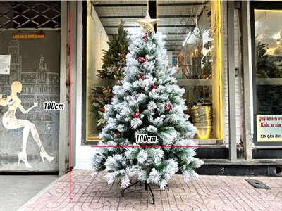 [ORDER 3-5 ngày] Cây thông Noel phủ tuyết cước 2 loại lá gắn trái đỏ cao 180cm X-TREE-LP-TCS