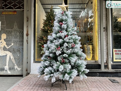 [ORDER 3-5 ngày] Cây thông Noel phủ tuyết cước 2 loại lá gắn trái đỏ cao 180cm X-TREE-LP-TCS