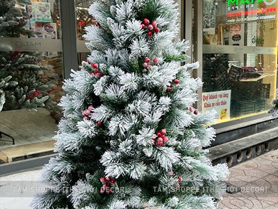 [ORDER 3-5 ngày] Cây thông Noel phủ tuyết cước 2 loại lá gắn trái đỏ cao 180cm X-TREE-LP-TCS