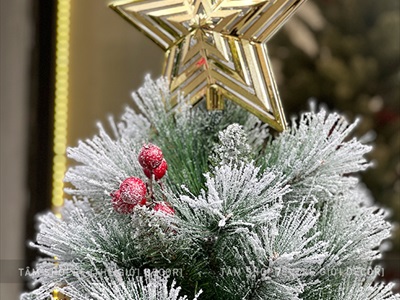 [ORDER 3-5 ngày] Cây thông Noel phủ tuyết cước 2 loại lá gắn trái đỏ cao 180cm X-TREE-LP-TCS