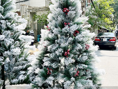 [ORDER 3-5 ngày] Cây thông Noel phủ tuyết cước 2 loại lá gắn trái đỏ cao 180cm X-TREE-LP-TCS