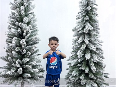 Cây thông Noel thân ốm phủ tuyết [Cao 1m8 - 2 cách bẻ cành] X-TREE-LP-ST