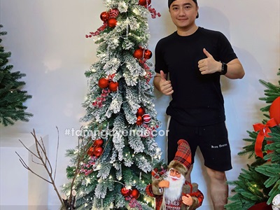 Cây thông Noel thân ốm phủ tuyết [Cao 1m8 - 2 cách bẻ cành] X-TREE-LP-ST