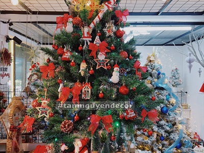 Cây thông Noel xanh 3 loại lá gắn trái thông [Cao 1m2-4m5] X-TREE-LP-3LLQC