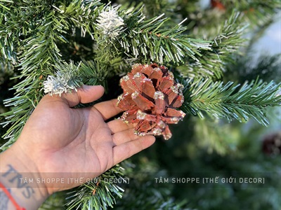 Cây thông Noel xanh 3 loại lá gắn trái thông [Cao 1m2-4m5] X-TREE-LP-3LLQC