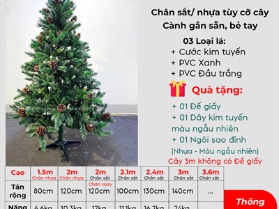 Cây thông Noel xanh 3 loại lá gắn trái thông [Cao 1m2-4m5] X-TREE-LP-3LLQC