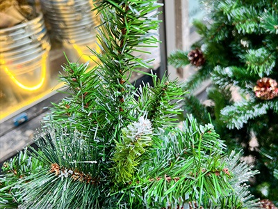 Cây thông Noel xanh 3 loại lá gắn trái thông [Cao 1m2-4m5] X-TREE-LP-3LLQC