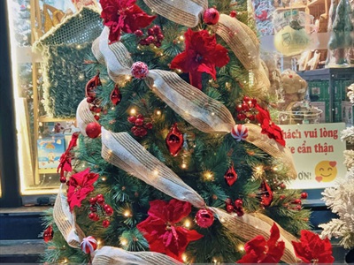Cây thông Noel xanh cước đầu vàng trái đỏ [Nhiều cỡ từ 1.5-2.4m] X-TREE-LP-YHN-R