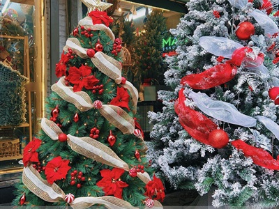 Cây thông Noel xanh cước đầu vàng trái đỏ [Nhiều cỡ từ 1.5-2.4m] X-TREE-LP-YHN-R