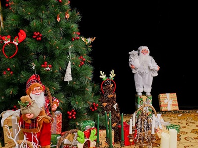 Cây thông Noel xanh cước đầu vàng trái đỏ [Nhiều cỡ từ 1.5-2.4m] X-TREE-LP-YHN-R