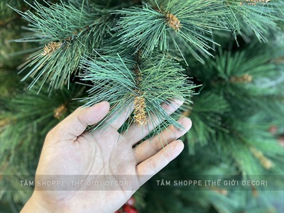Cây thông Noel xanh cước đầu vàng trái đỏ [Nhiều cỡ từ 1.5-2.4m] X-TREE-LP-YHN-R