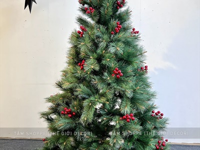 Cây thông Noel xanh cước đầu vàng trái đỏ [Nhiều cỡ từ 1.5-2.4m] X-TREE-LP-YHN-R