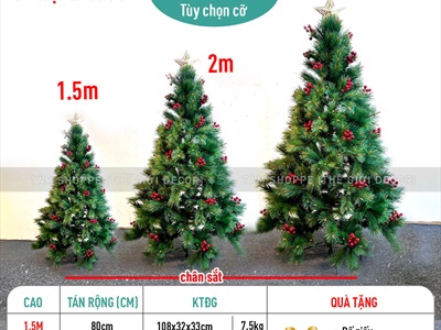Cây thông Noel xanh cước đầu vàng trái đỏ [Nhiều cỡ từ 1.5-2.4m] X-TREE-LP-YHN-R