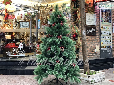 [ORDER 3-5 ngày] Cây thông Noel xanh cước đầu xòe gắn trái đỏ cao từ 180-240cm X-TREE-LP-A6N