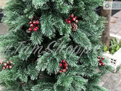 [ORDER 3-5 ngày] Cây thông Noel xanh cước đầu xòe gắn trái đỏ cao từ 180-240cm X-TREE-LP-A6N