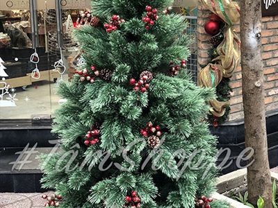 [ORDER 3-5 ngày] Cây thông Noel xanh cước đầu xòe gắn trái đỏ cao từ 180-240cm X-TREE-LP-A6N