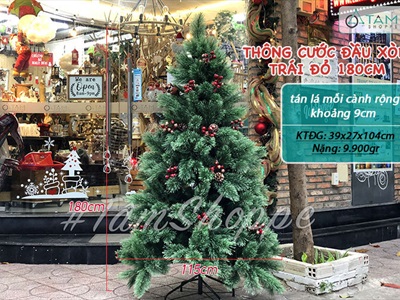 [ORDER 3-5 ngày] Cây thông Noel xanh cước đầu xòe gắn trái đỏ cao từ 180-240cm X-TREE-LP-A6N