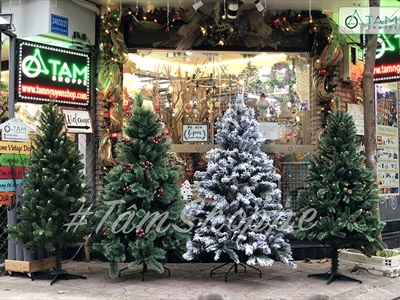 [ORDER 3-5 ngày] Cây thông Noel xanh cước đầu xòe gắn trái đỏ cao từ 180-240cm X-TREE-LP-A6N