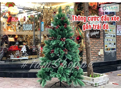 [ORDER 3-5 ngày] Cây thông Noel xanh cước đầu xòe gắn trái đỏ cao từ 180-240cm X-TREE-LP-A6N