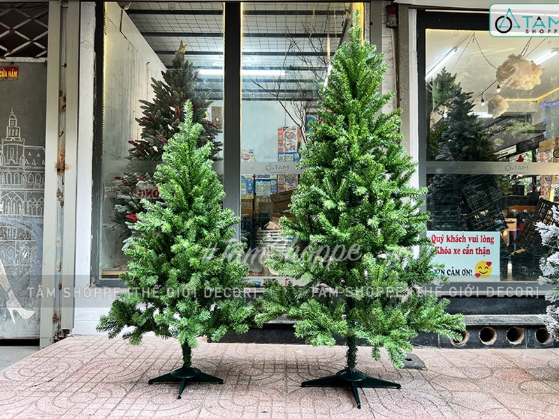Cây thông Noel xanh trơn 1 loại lá đầu tròn [Cao 1m5-4m5] X-TREE-LP-TNQC