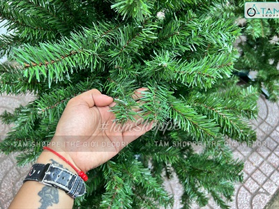Cây thông Noel xanh trơn 1 loại lá đầu tròn [Cao 1m5-4m5] X-TREE-LP-TNQC