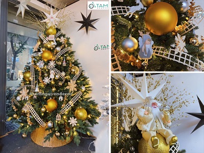 [ORDER 3-5 NGÀY] Cây thông Noel xanh lá PE 2 loại lá như thật [Cao từ 1m5-3m6] X-TREE-LP-PE2