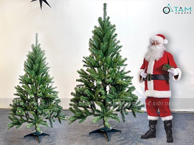 Cây thông Noel xanh trơn 1 loại lá đầu tròn [Cao 1m5-4m5] X-TREE-LP-TNQC