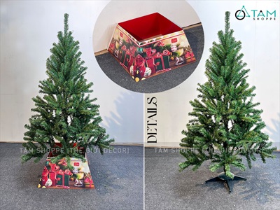 Cây thông Noel xanh trơn 1 loại lá đầu tròn [Cao 1m5-4m5] X-TREE-LP-TNQC