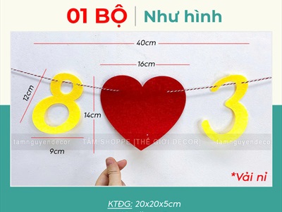 Dây banner chữ Happy Women's day 8/3 - 20/10 [Vải nỉ - Kèm dây] BANER-KHAC-01