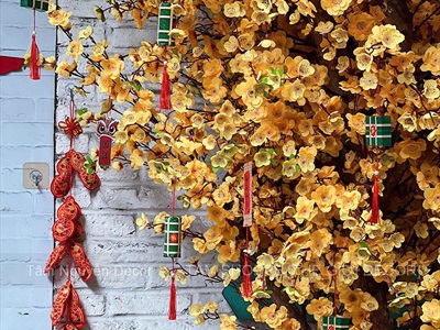 Góc tiểu cảnh 
