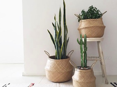 Giỏ cói trồng cây đựng đồ hình chum 2 quai xách GIO-01