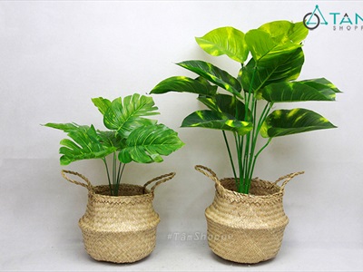 Giỏ cói trồng cây đựng đồ hình chum 2 quai xách GIO-01