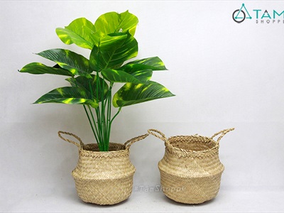 Giỏ cói trồng cây đựng đồ hình chum 2 quai xách GIO-01