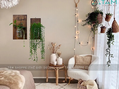 Tấm gỗ lọ thủy tinh treo tường thủy canh nâu đen Rustic (tặng đinh tường) BINHLOHOA-04