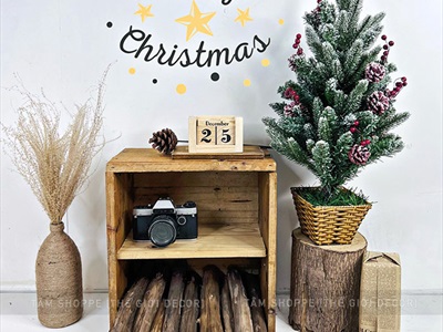 Khúc củi lột vỏ trang trí lò sưởi dài 40cm CAYCUI-01