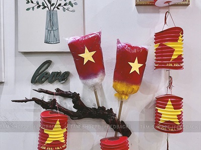 Set 02 lồng đèn giấy con sâu cờ Việt Nam [In đẹp - Cỡ trung] LDEN-GIAY-14