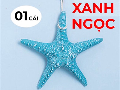 Sao biển trang trí 6 màu ĐK12-13cm [Composite - Có dây treo] SAOBIEN-02