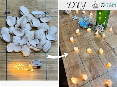 Vỏ sò huyết trắng làm handmade [Theo hủ/ Nhiều cỡ] VOSO-05