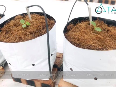 Bã bố xơ dừa ép gọn dạng thô bịch 200gr PK-XODUA-01