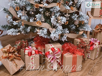 Hộp giấy carton làm hộp quà giáng sinh [Cứng cáp - nhiều cỡ] HOPDUNGQUA-02